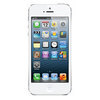 Apple iPhone 5 16Gb white - Гулькевичи